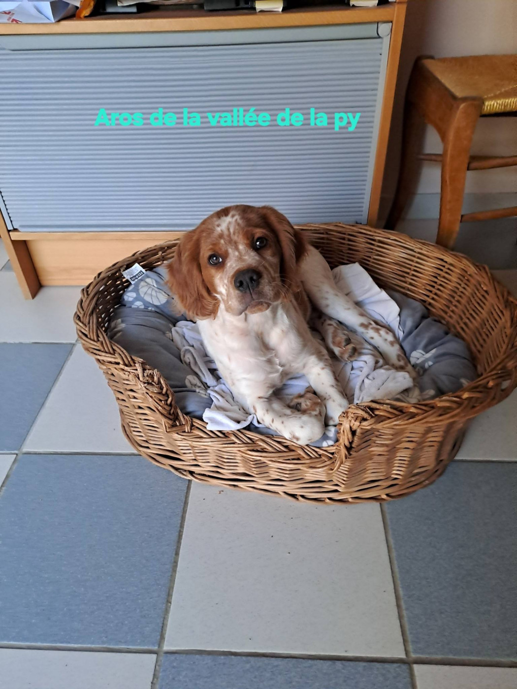 Reçu une photo merci