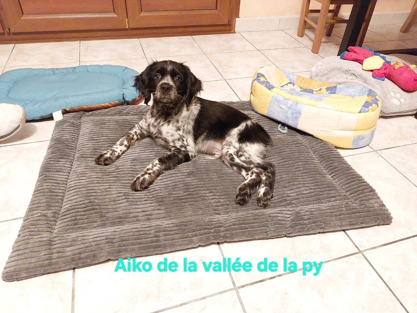 Reçu une photo merci