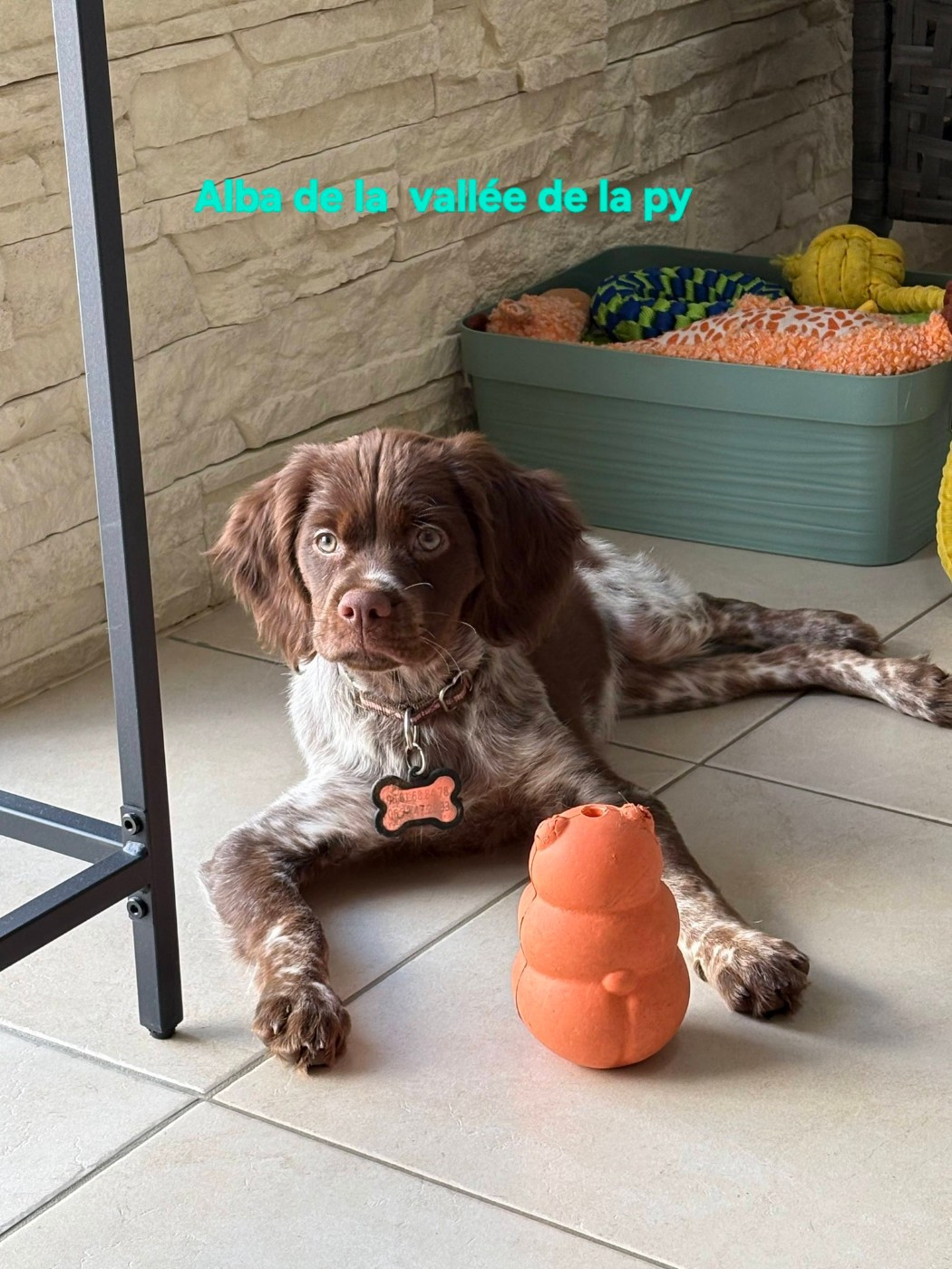 Reçu une photo merci