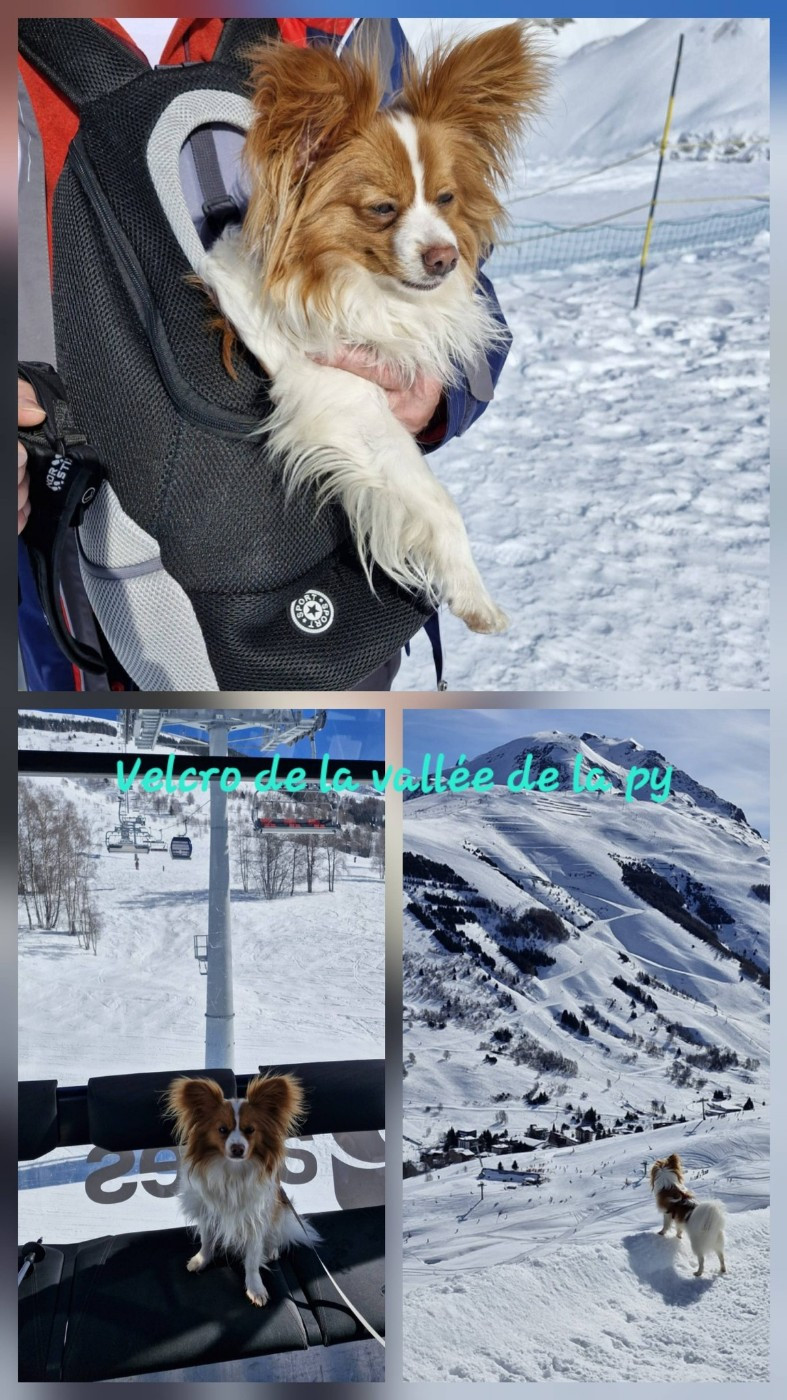 Reçu des photos merci