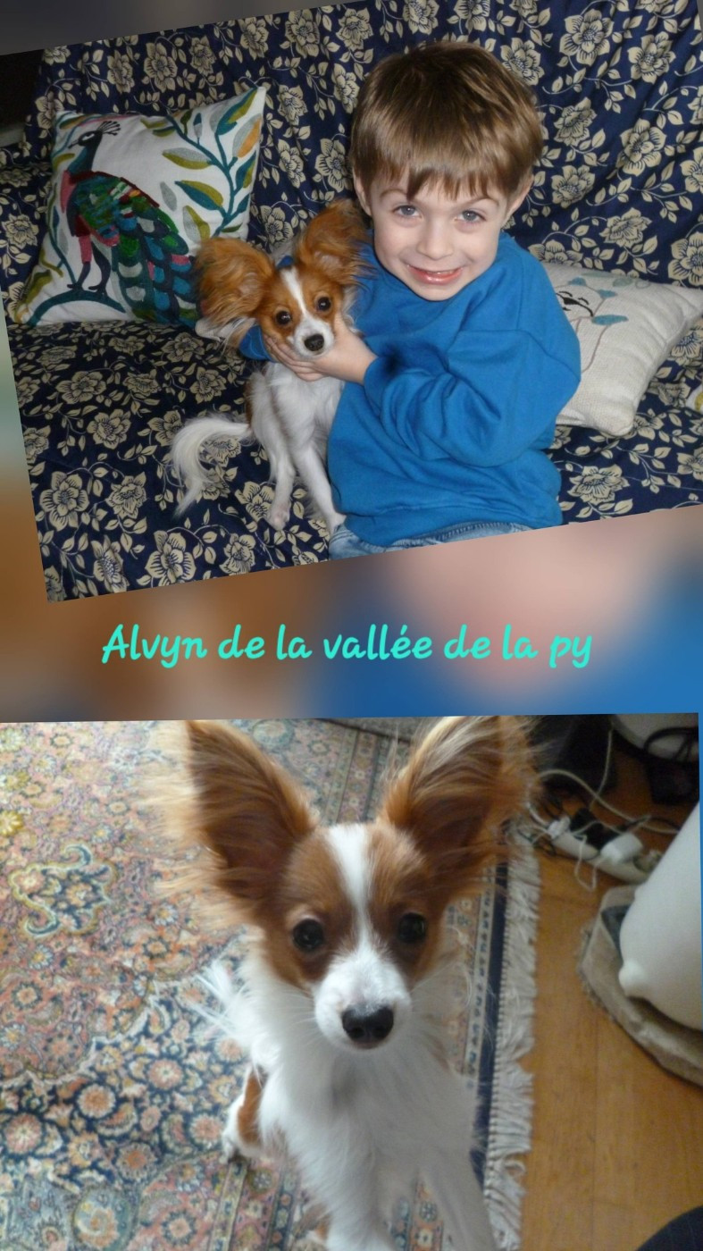 Reçu des photos merci