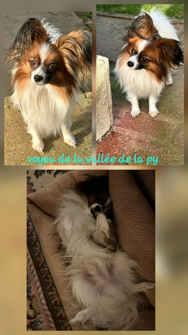 Reçu des photos merci