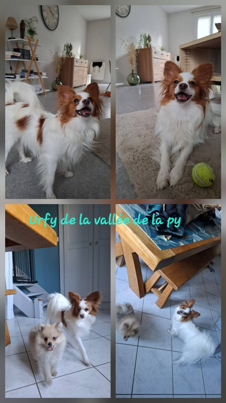 Reçu des photos merci