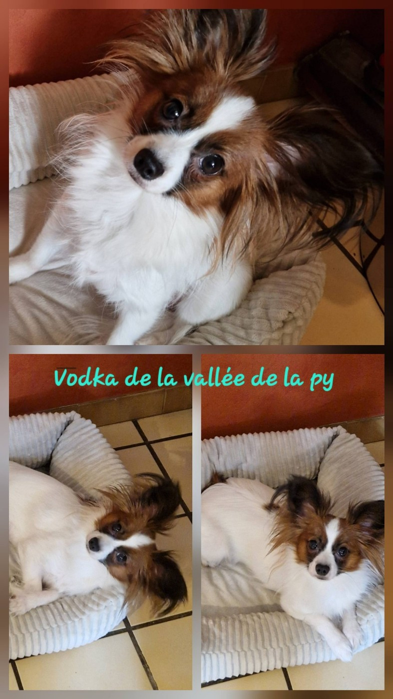 Reçu des photos merci