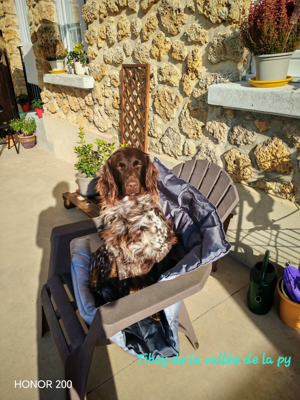 Reçu une photo merci