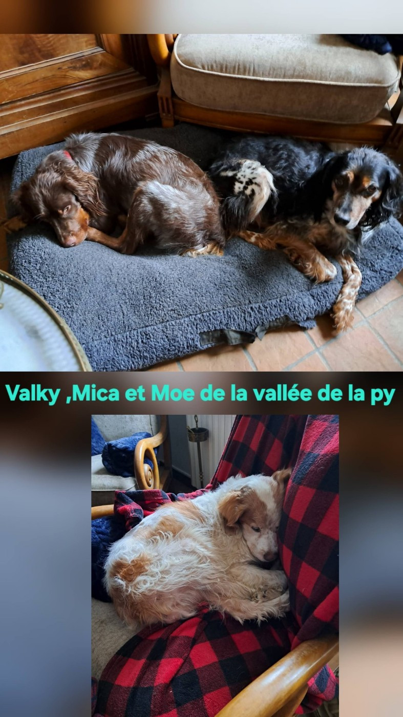 Reçu des photos merci