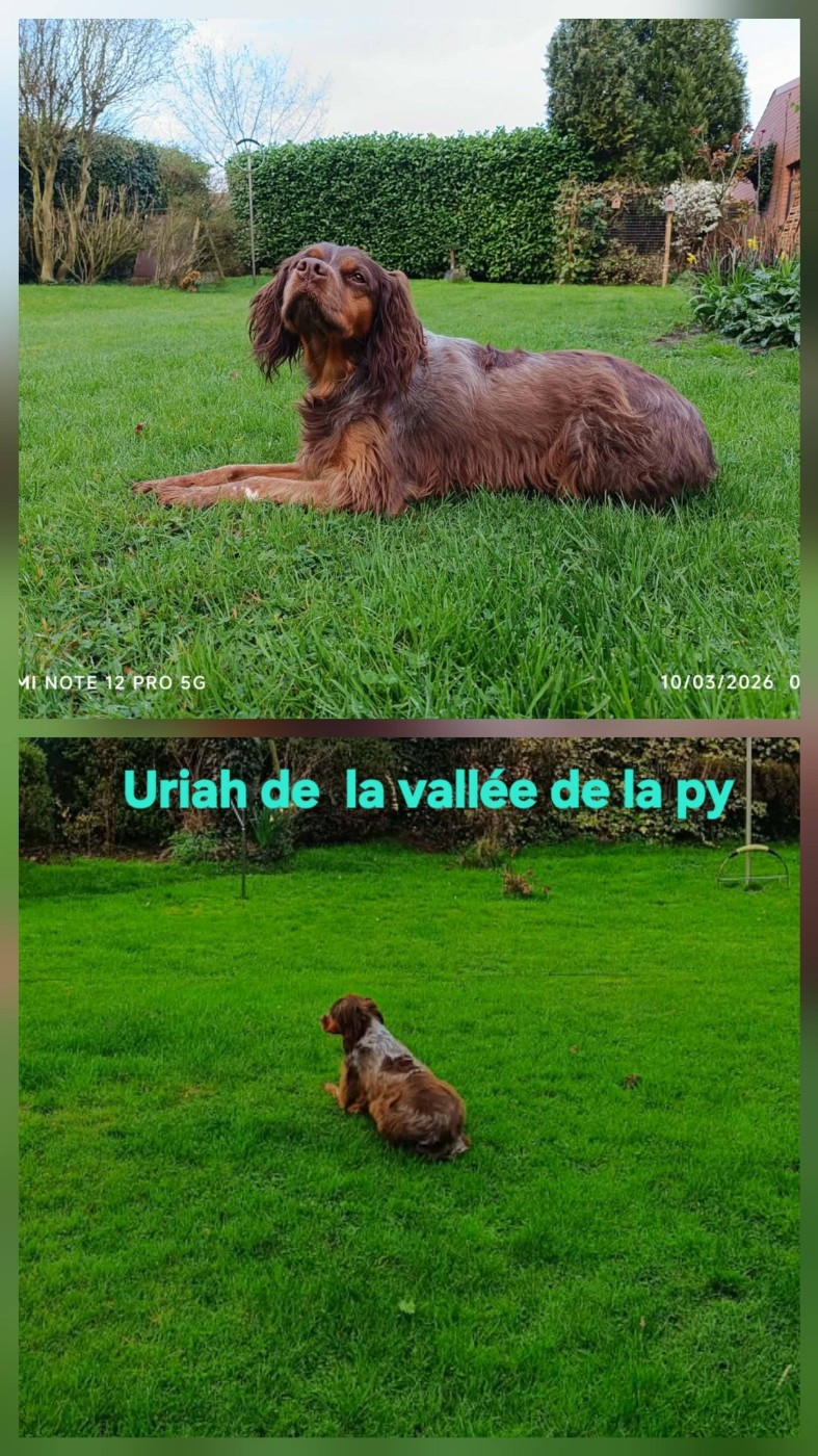 De La Vallée De La Py - Reçu des photos merci