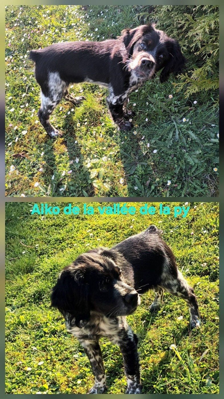 De La Vallée De La Py - Reçu des photos merci