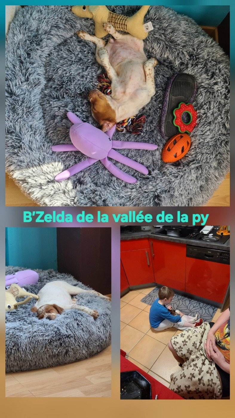 De La Vallée De La Py - Reçu des photos merci