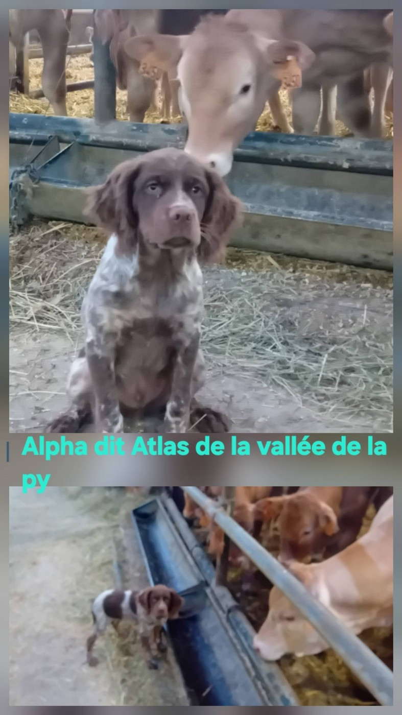 De La Vallée De La Py - Reçu des photos merci