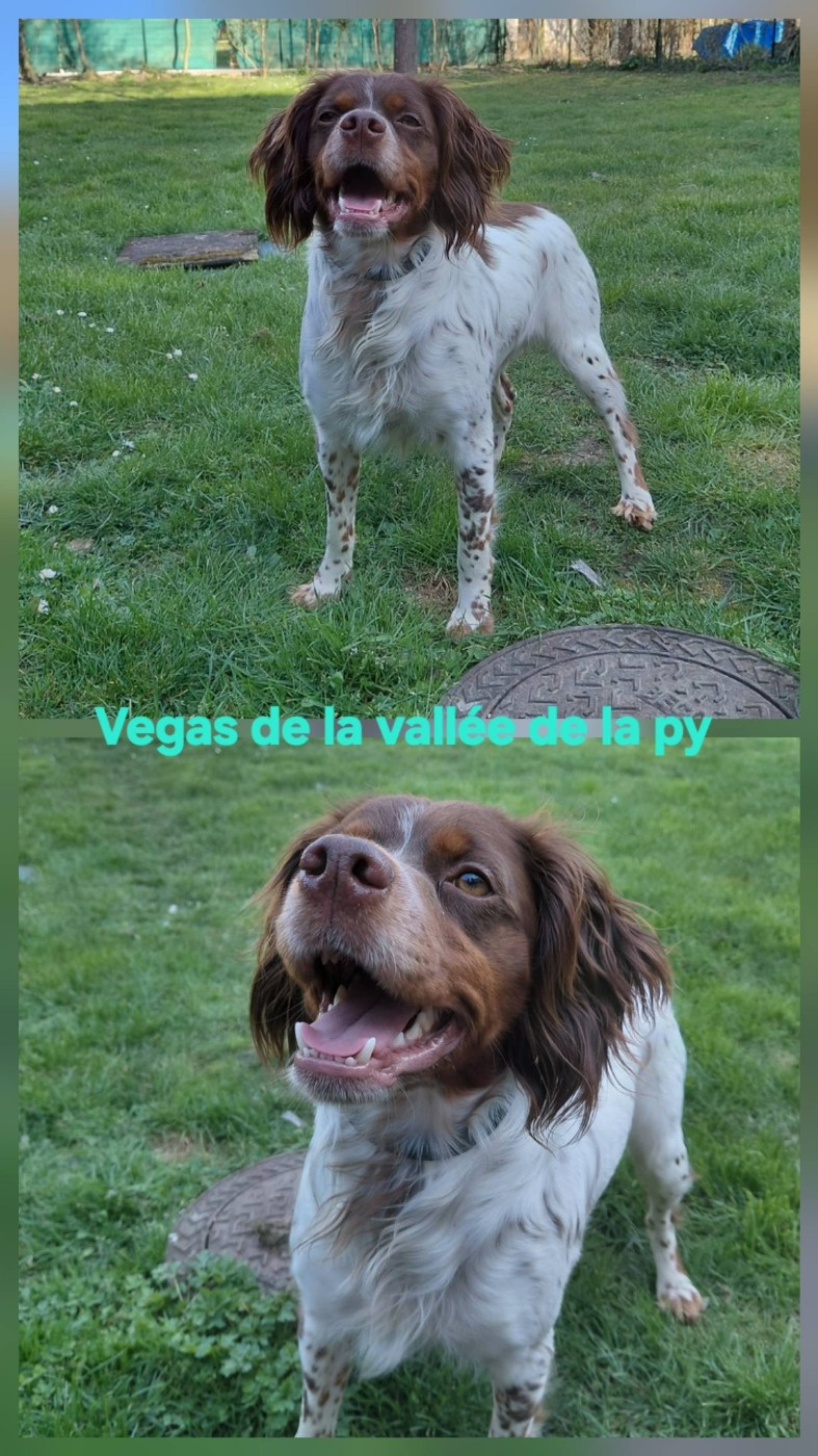 De La Vallée De La Py - Reçu des photos merci