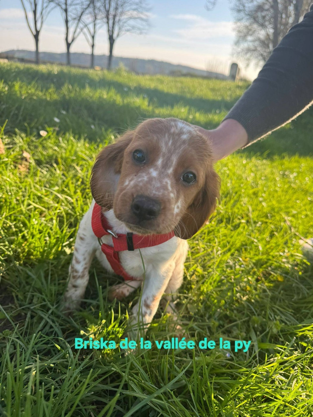 De La Vallée De La Py - Reçu une photo merci