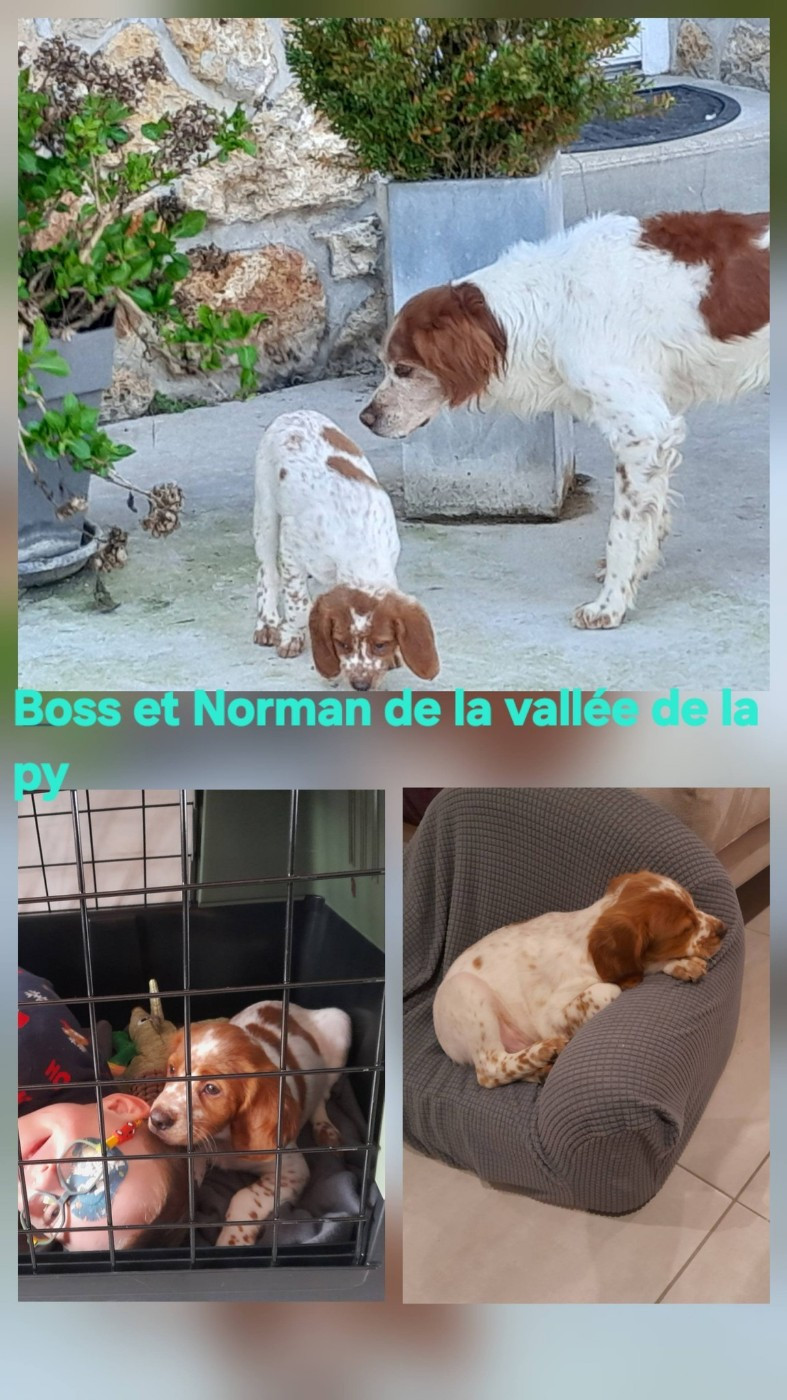 De La Vallée De La Py - Reçu des photos merci