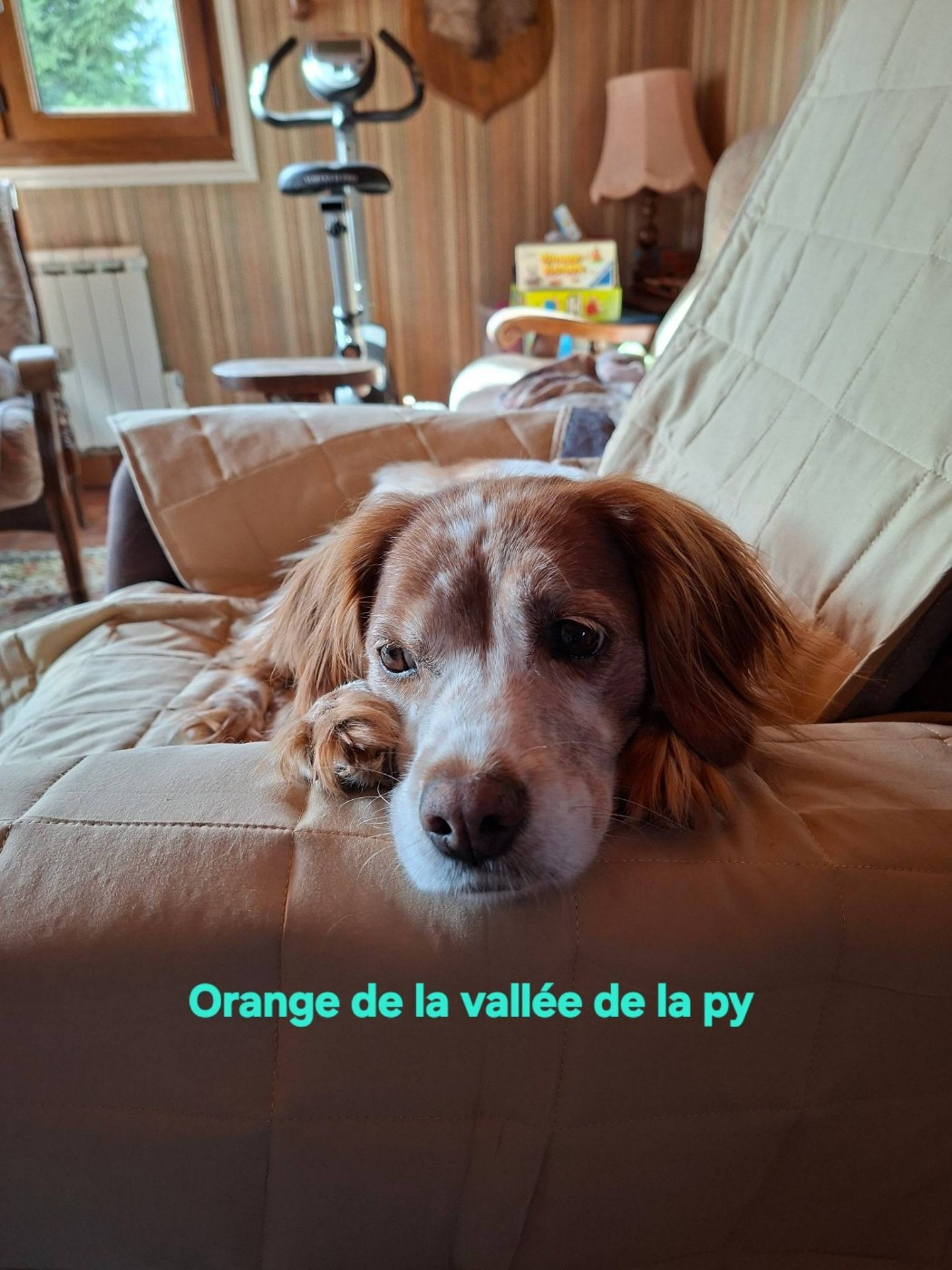 De La Vallée De La Py - Reçu une photo merci