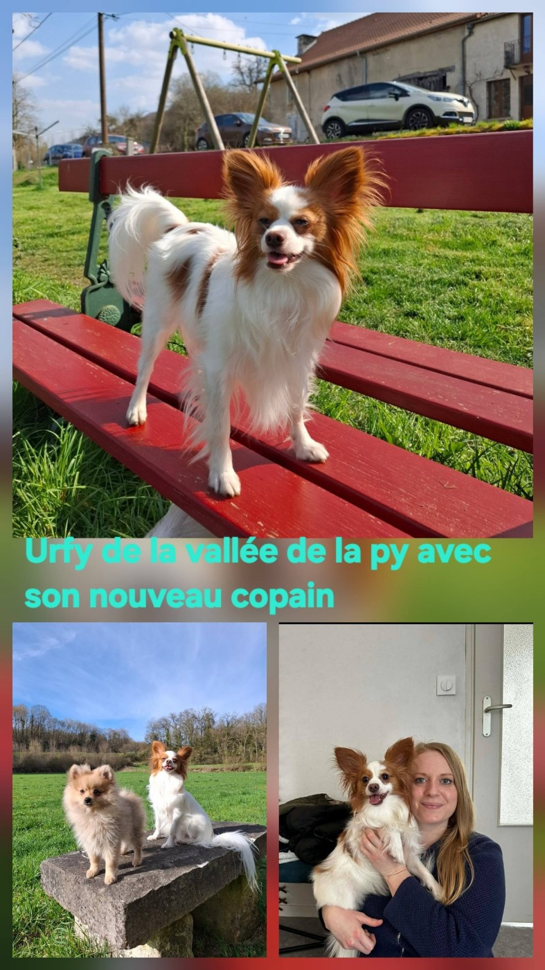 De La Vallée De La Py - Reçu des photos merci