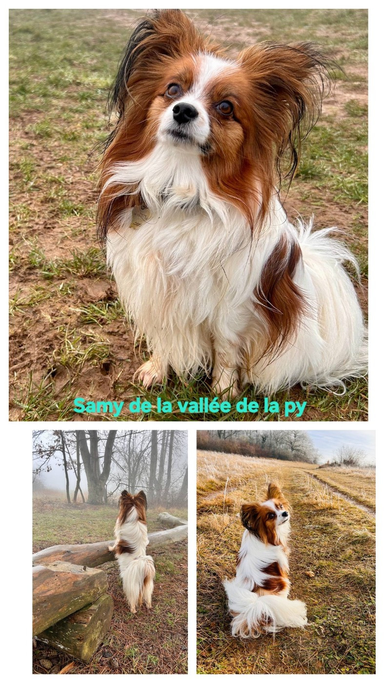 Reçu des photos merci