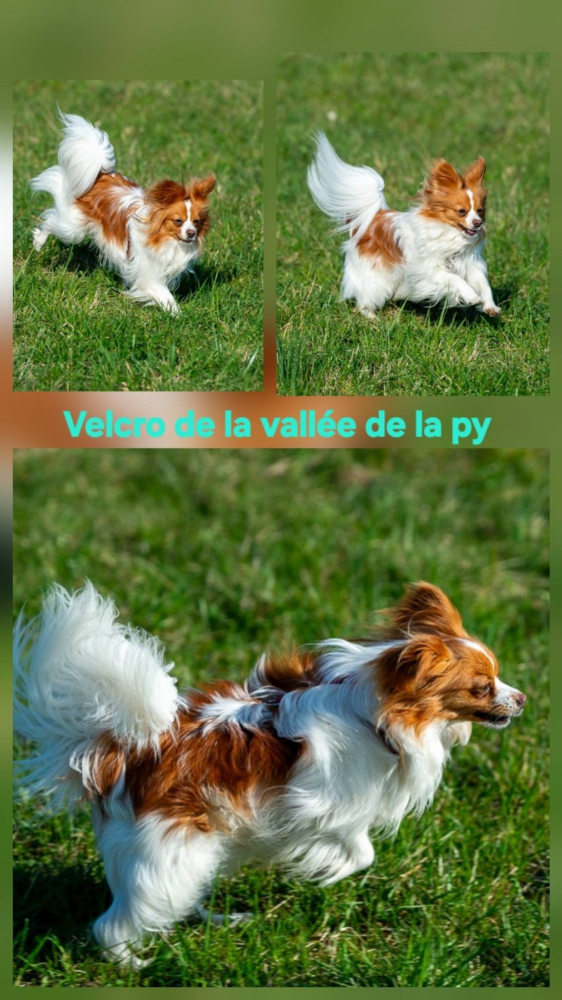 Reçu des photos merci