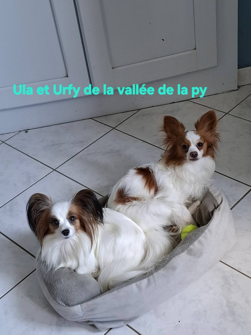 Reçu des photos merci