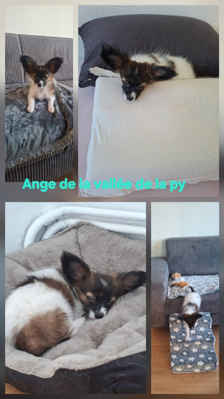 Reçu des photos merci