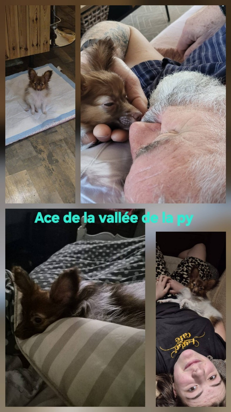 Reçu des photos merci