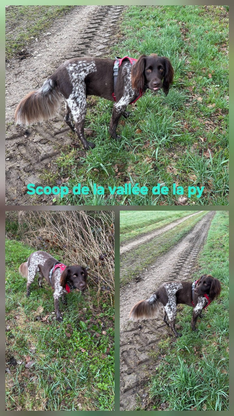 De La Vallée De La Py - Reçu des photos merci