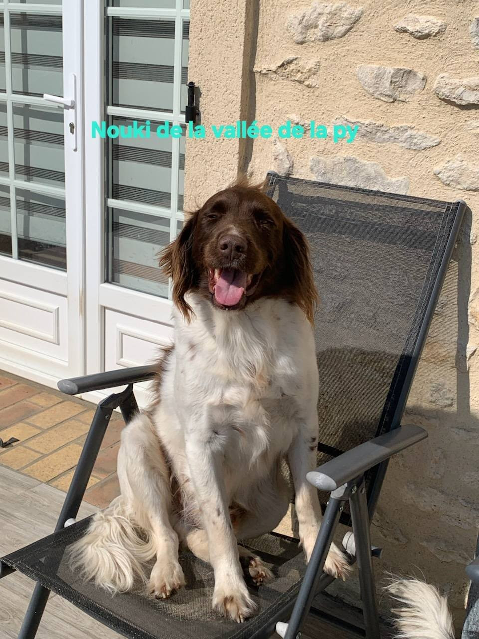 De La Vallée De La Py - Reçu des photos merci