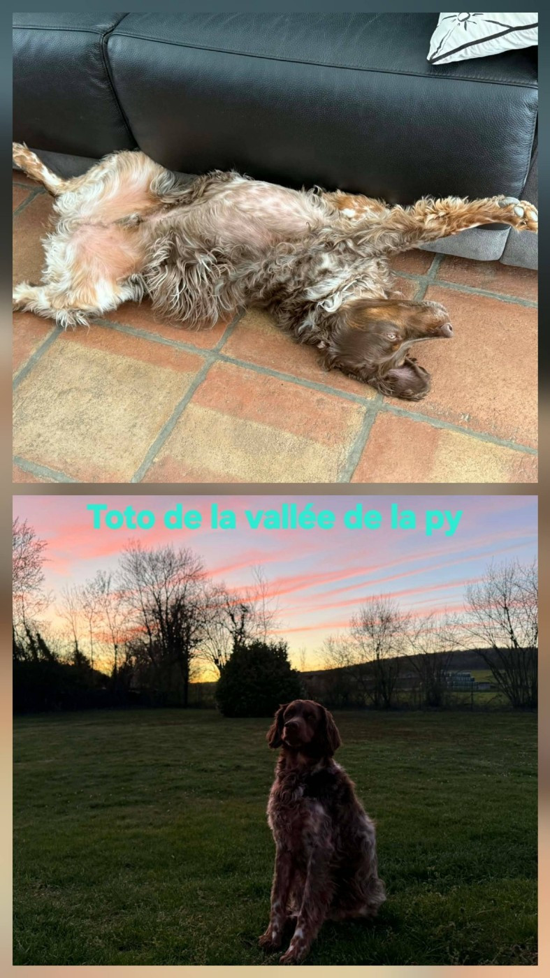 De La Vallée De La Py - Reçu des photos de Toto merci