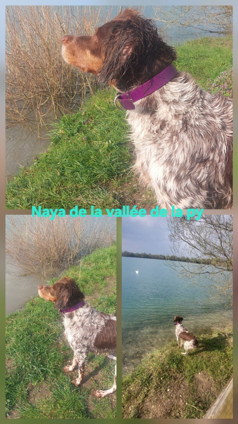 Reçu des photos de Naya merci