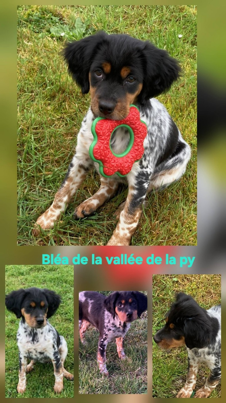 Reçu des photos de Bléa merci