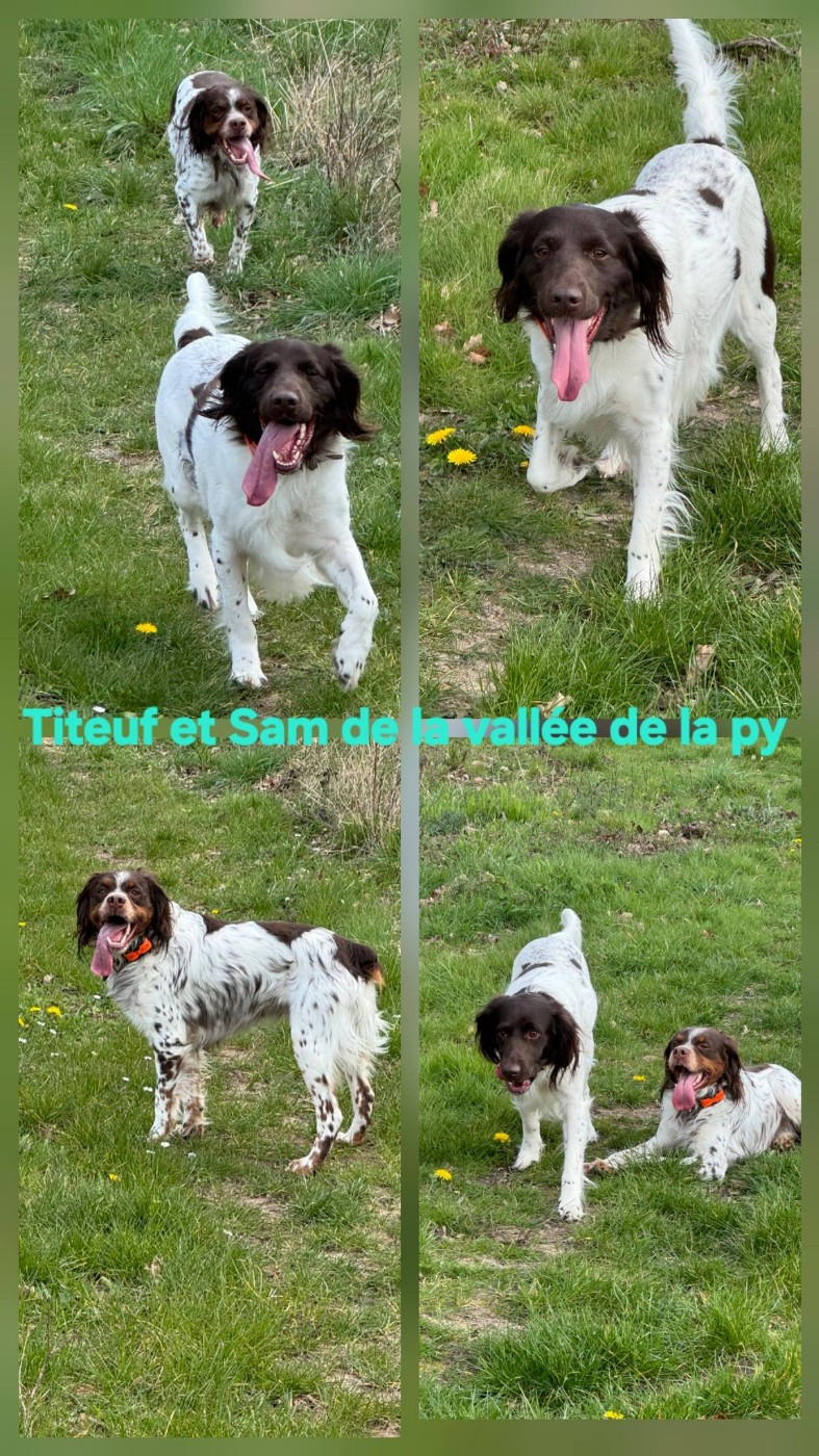 De La Vallée De La Py - Reçu des photos de Titeuf et Sam merci