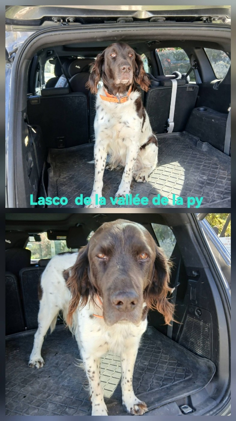 Reçu des photos de Lasco merci