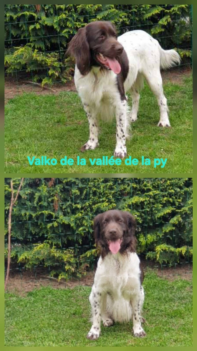 Reçu des photos de Valko merci