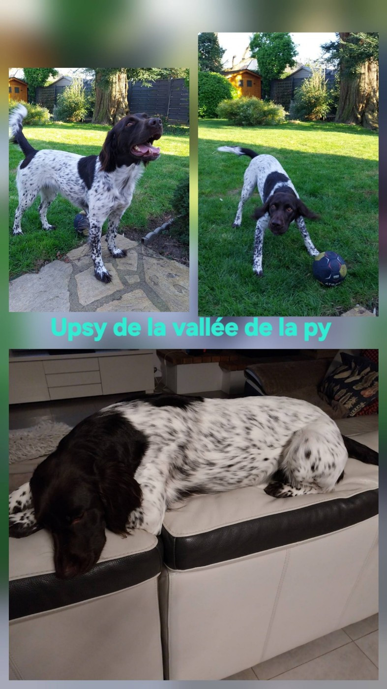 Reçu des photos de Upsy merci