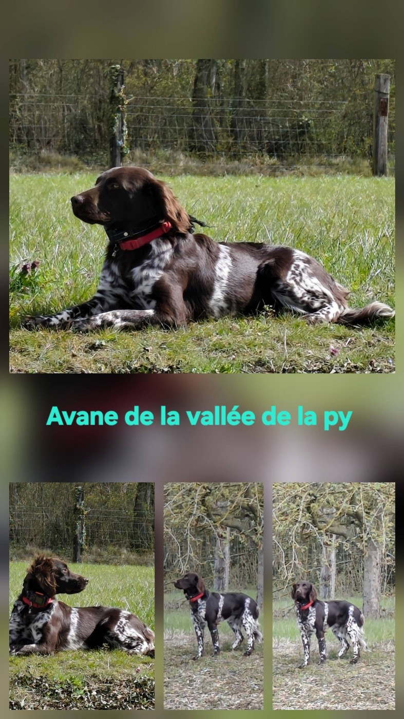 Reçu des photos de Avane merci