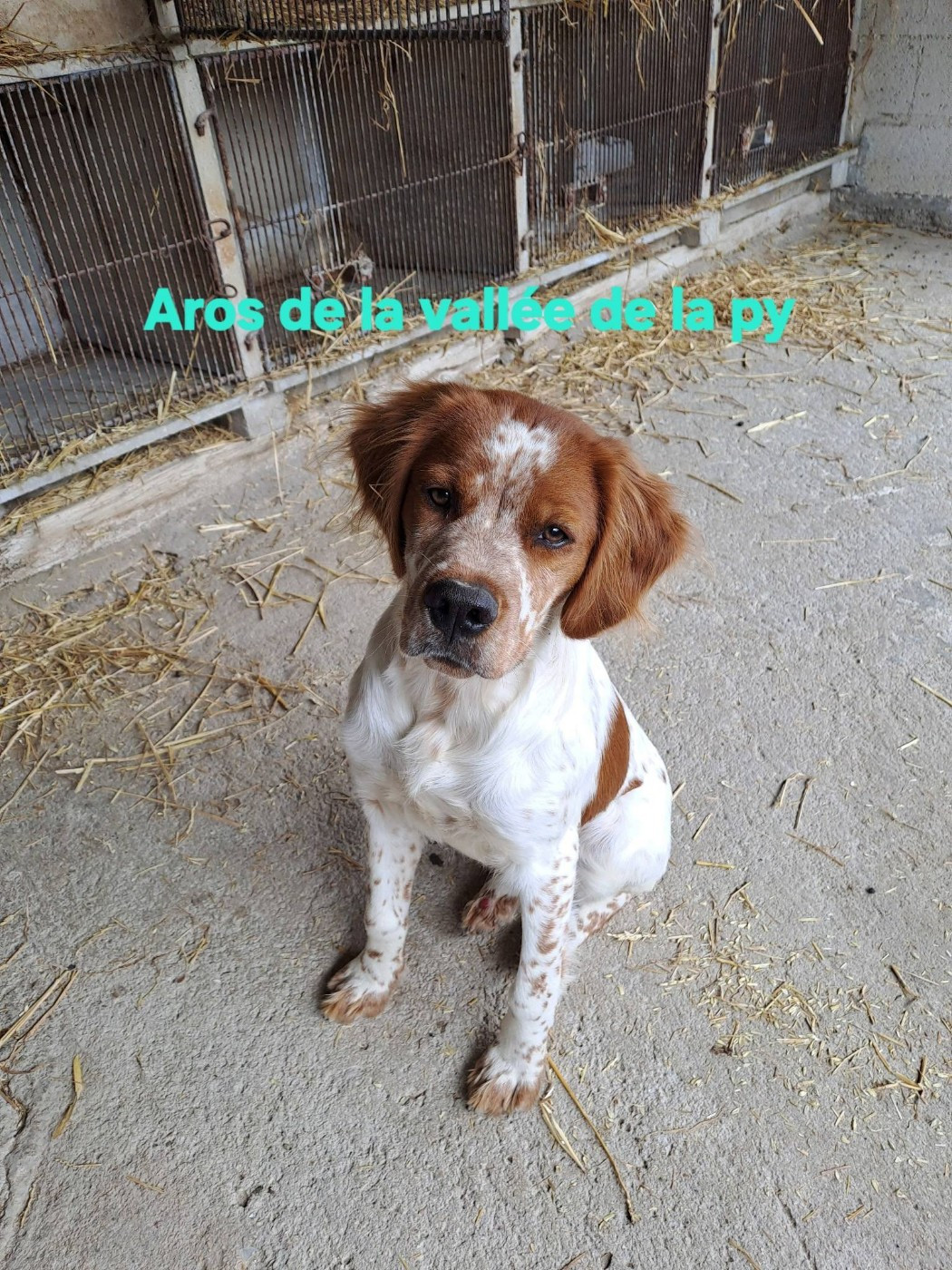De La Vallée De La Py - Reçu une photo de Aros merci