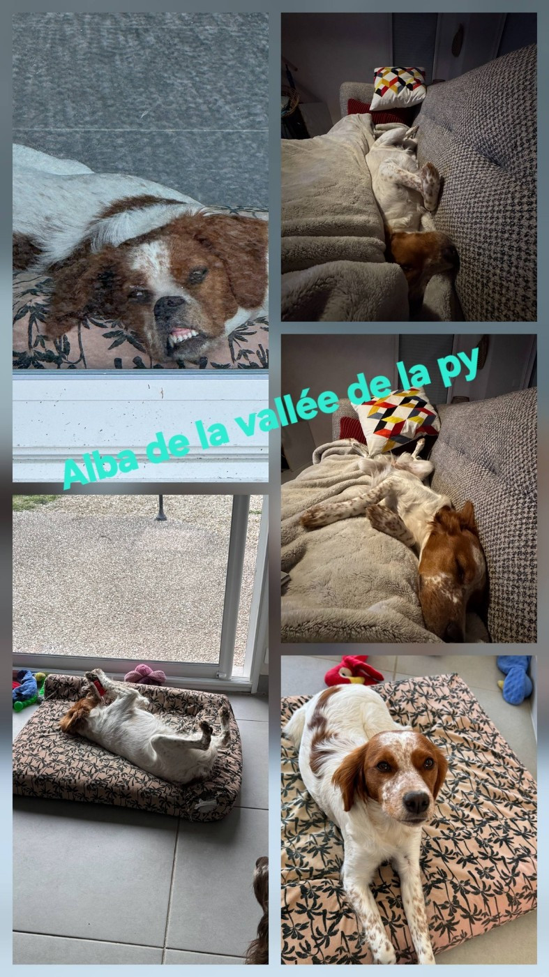 De La Vallée De La Py - Reçu des photos de Alba merci