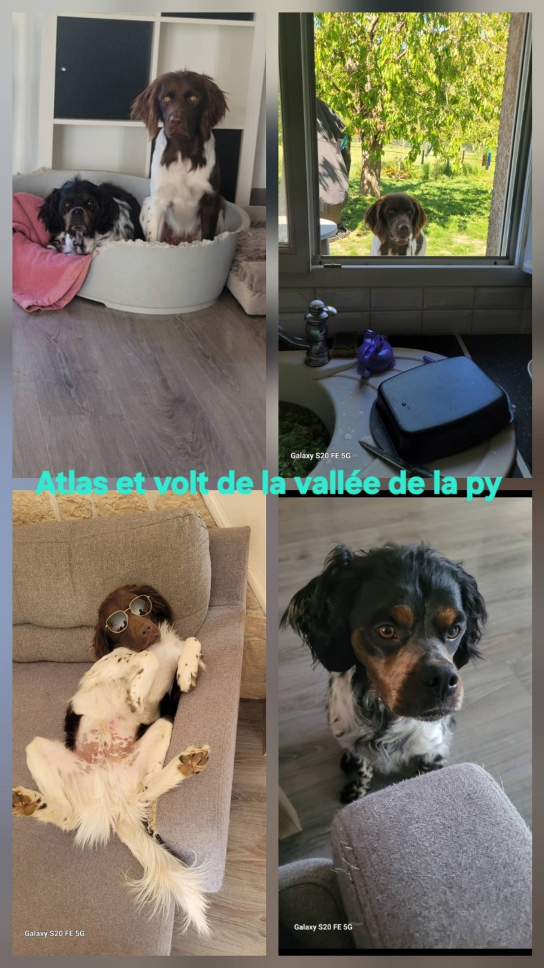 De La Vallée De La Py - Reçu des photos de volt et Atlas merci