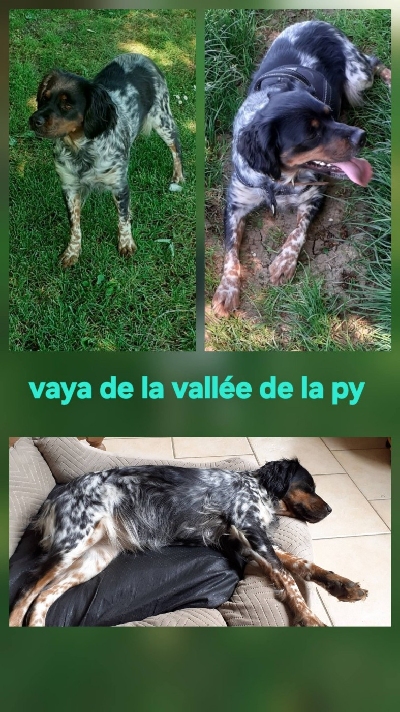 De La Vallée De La Py - Reçu des photos de Vaya merci