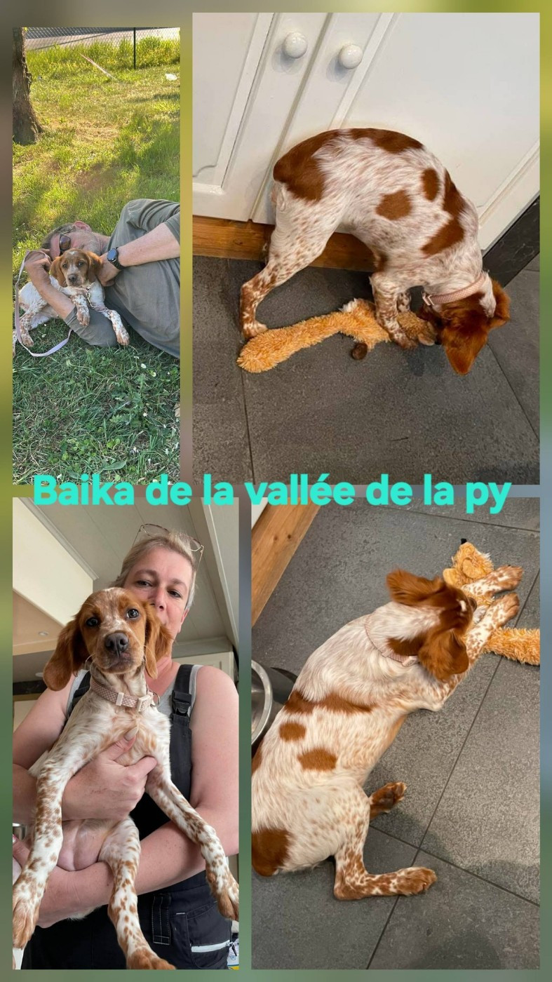 De La Vallée De La Py - Reçu des photos de Baika merci