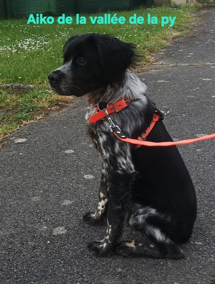 Reçu une photo de Aiko merci