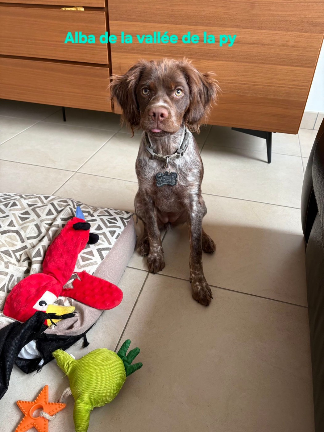 Reçu une photo de Alba merci