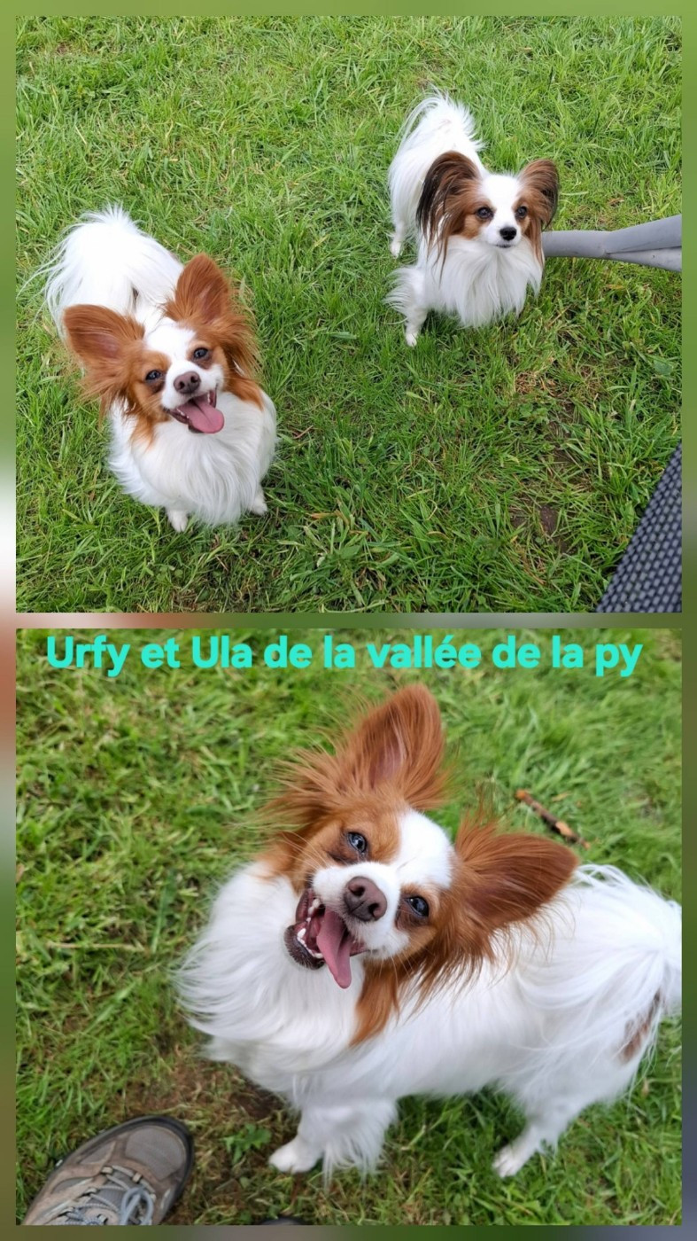 Reçu des photos de Urfy et Ula merci