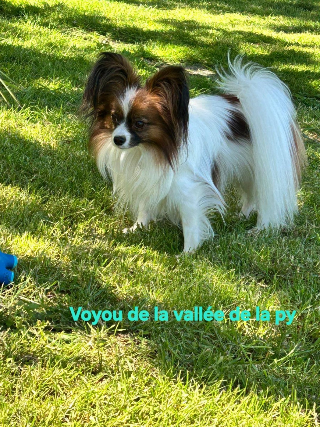 Reçu une photo de Voyou merci