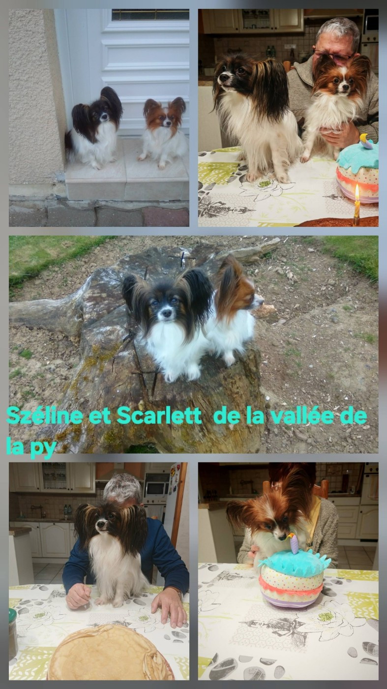 Reçu des photos de Széline et Scarlett merci