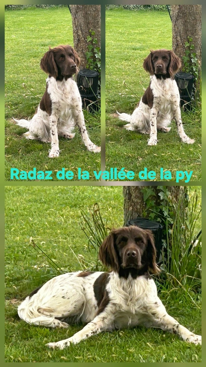 De La Vallée De La Py - Reçu des photos de Radaz merci