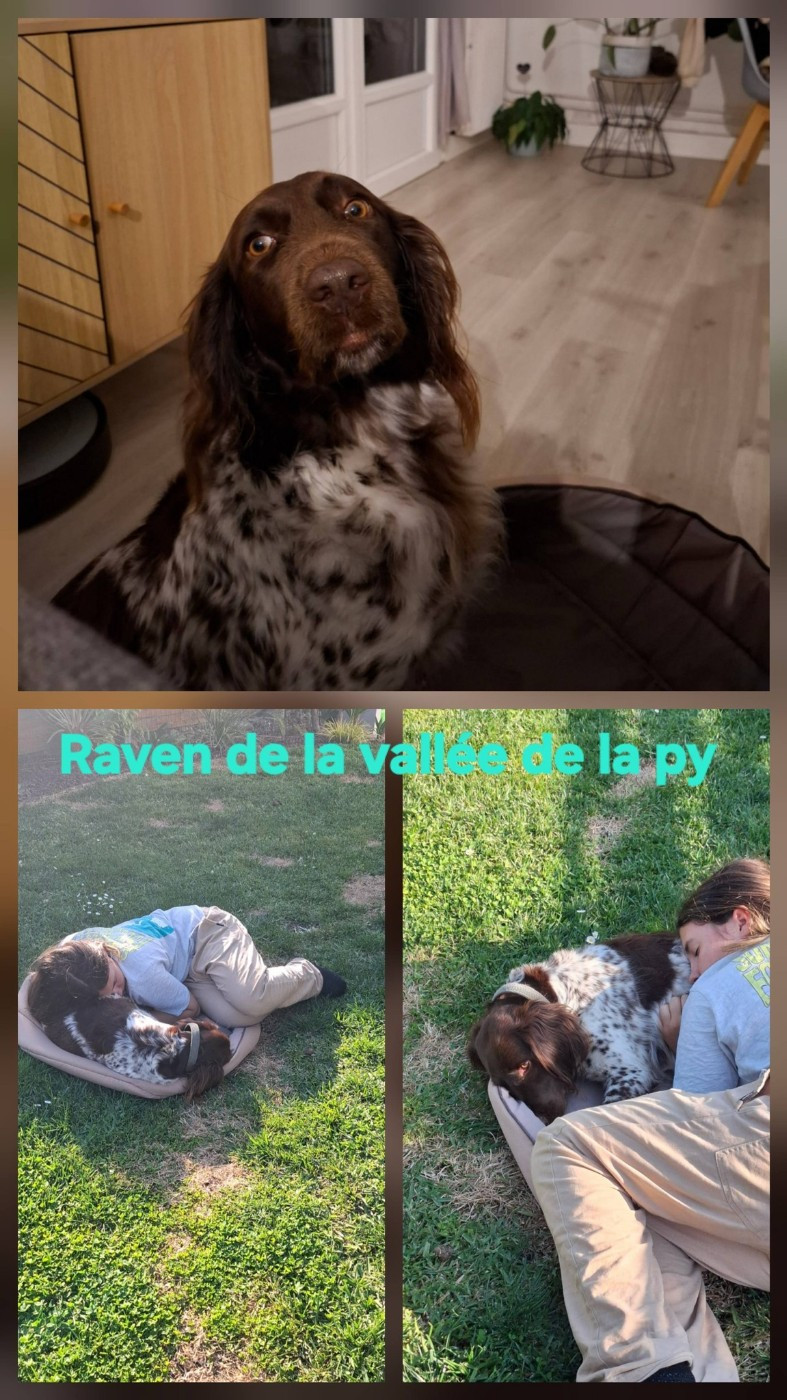 De La Vallée De La Py - Reçu des photos de Raven merci
