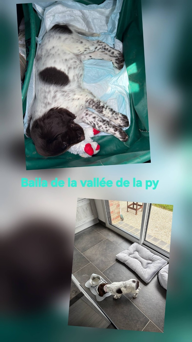 De La Vallée De La Py - Reçu des photos de Baila merci