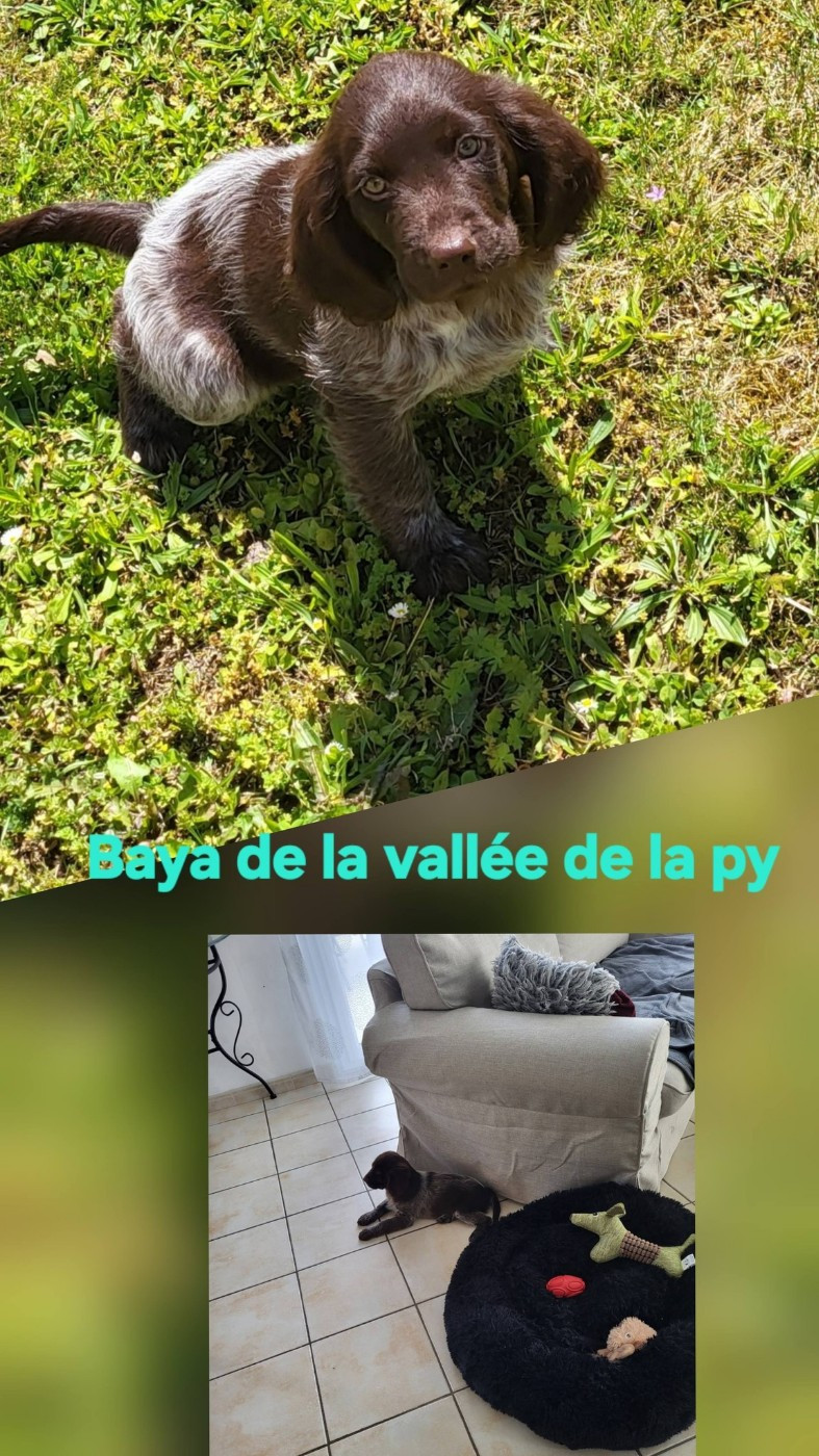 De La Vallée De La Py - Reçu des photos de Baya merci