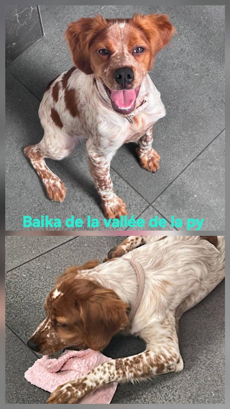 Reçu des photosde Baika merci