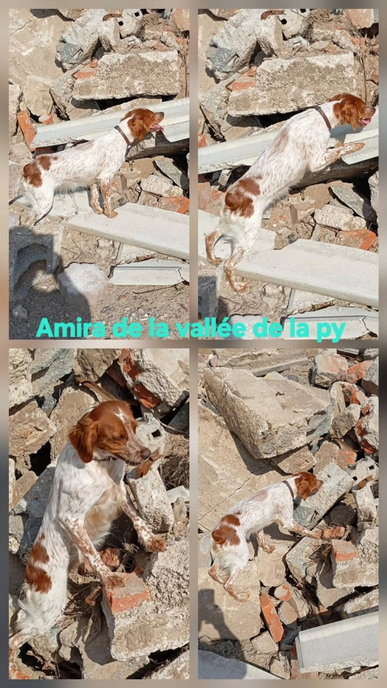 Reçu des photos de AMIRA merci